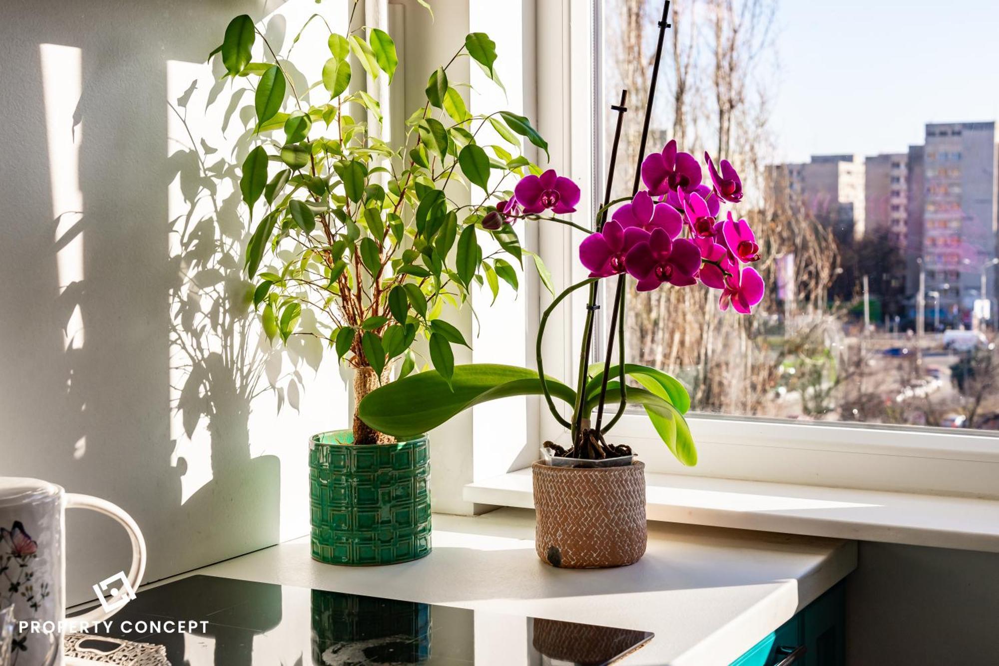 Blissful Retreat Apartment Bucharest Luaran gambar