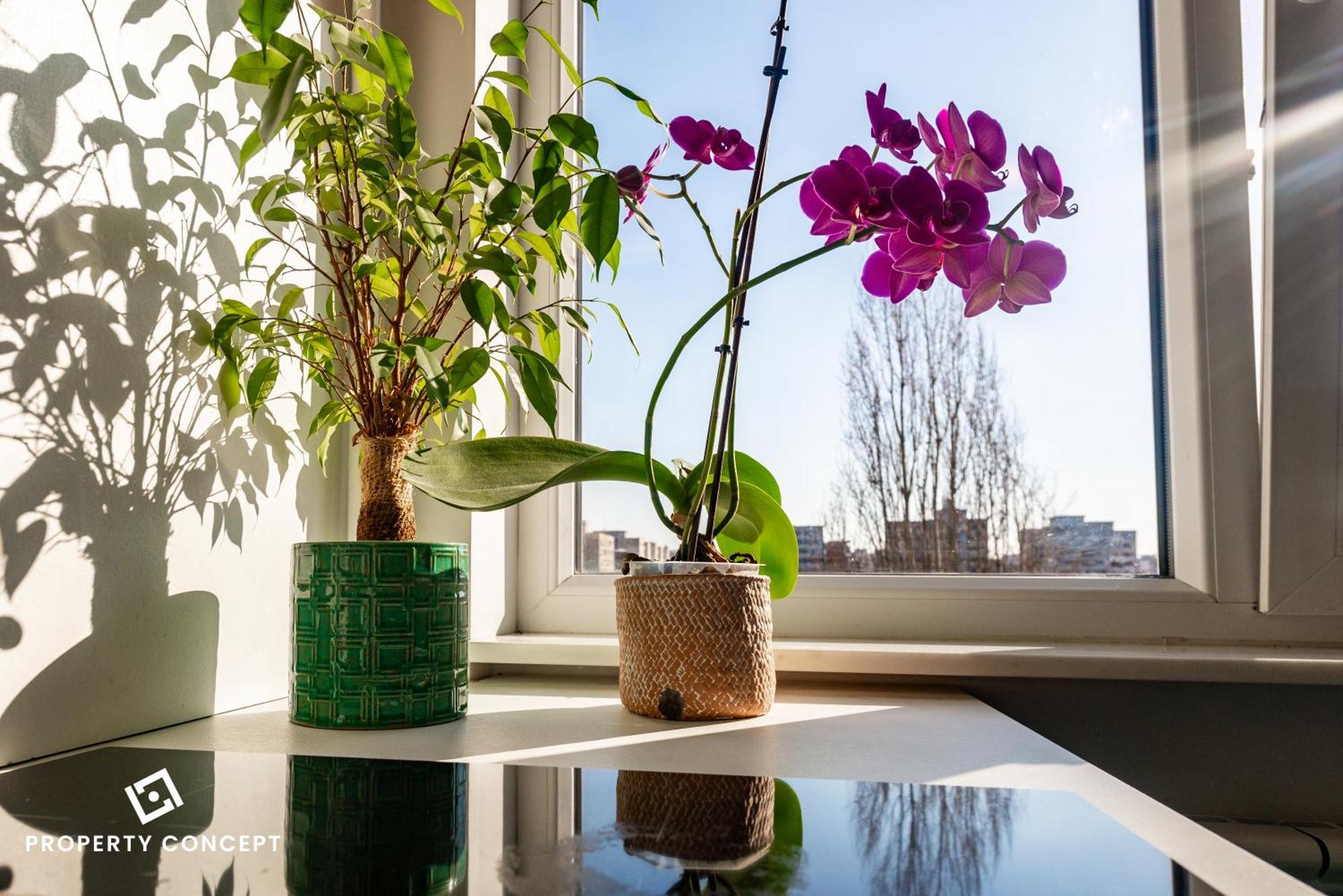 Blissful Retreat Apartment Bucharest Luaran gambar